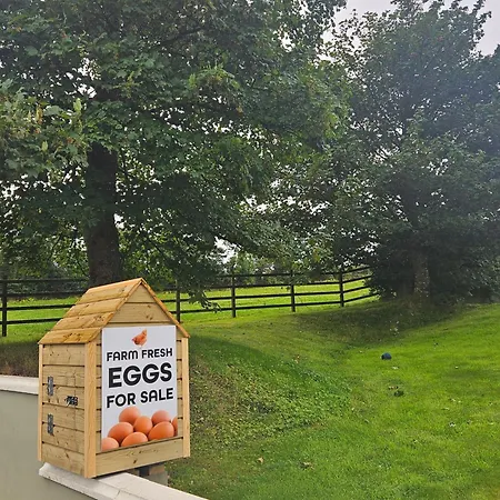 Апартаменты Casa Griffin *